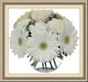 Always Always Flowers, 1091 Baxter St, Athens, GA 30606, (706)_227-0805